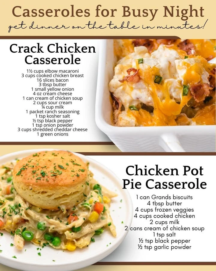 Delicious casseroles for busy night dinners