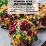 Cranberry Pecan Goat Cheese Balls 2 Cranberry Pecan Goat Cheese Balls