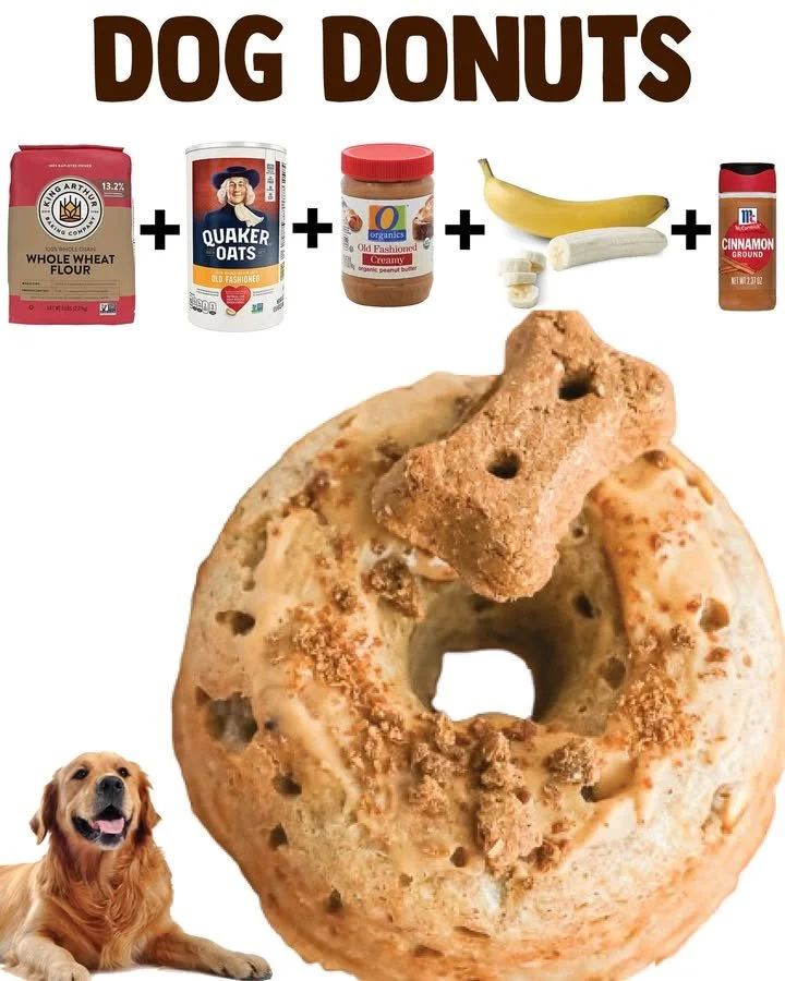 Peanut butter dog donuts for pets, healthy and tasty treats for dogs.