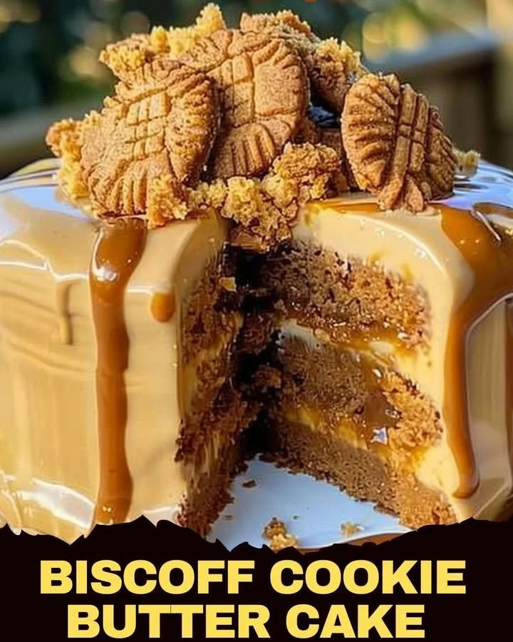 Biscoff Cookie Butter Cake topped with creamy frosting and Biscoff crumbs