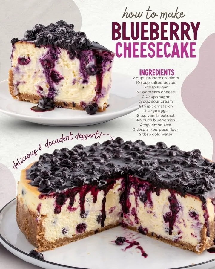 Delicious blueberry cheesecake topped with fresh blueberries.