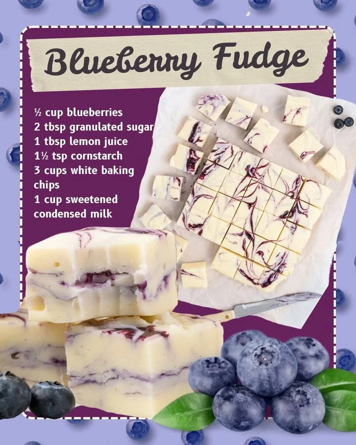 Delicious homemade blueberry fudge displayed on a plate