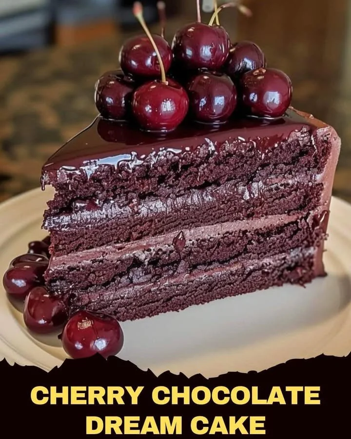 Slice of Cherry Chocolate Dream Cake topped with cherries and chocolate drizzle
