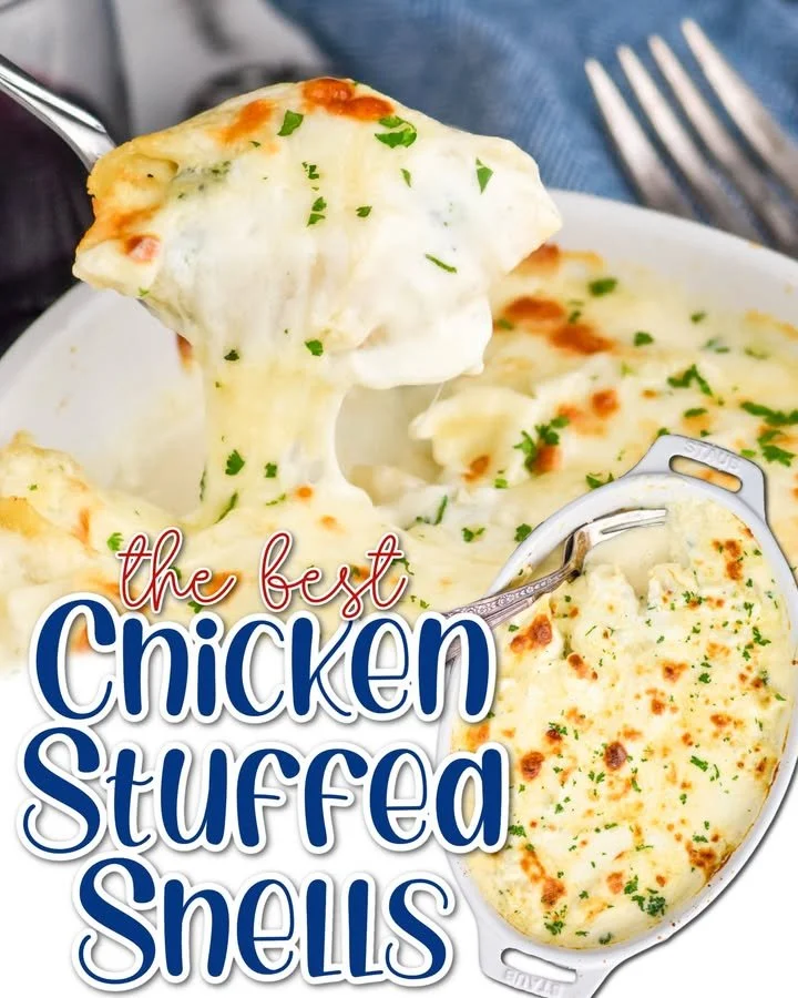 Plate of Chicken Stuffed Shells topped with marinara sauce and cheese