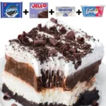 Delicious Chocolate Lasagna dessert with layers of chocolate cream and cookies