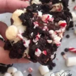 Fudgy marshmallow peppermint brownies topped with chocolate and mint