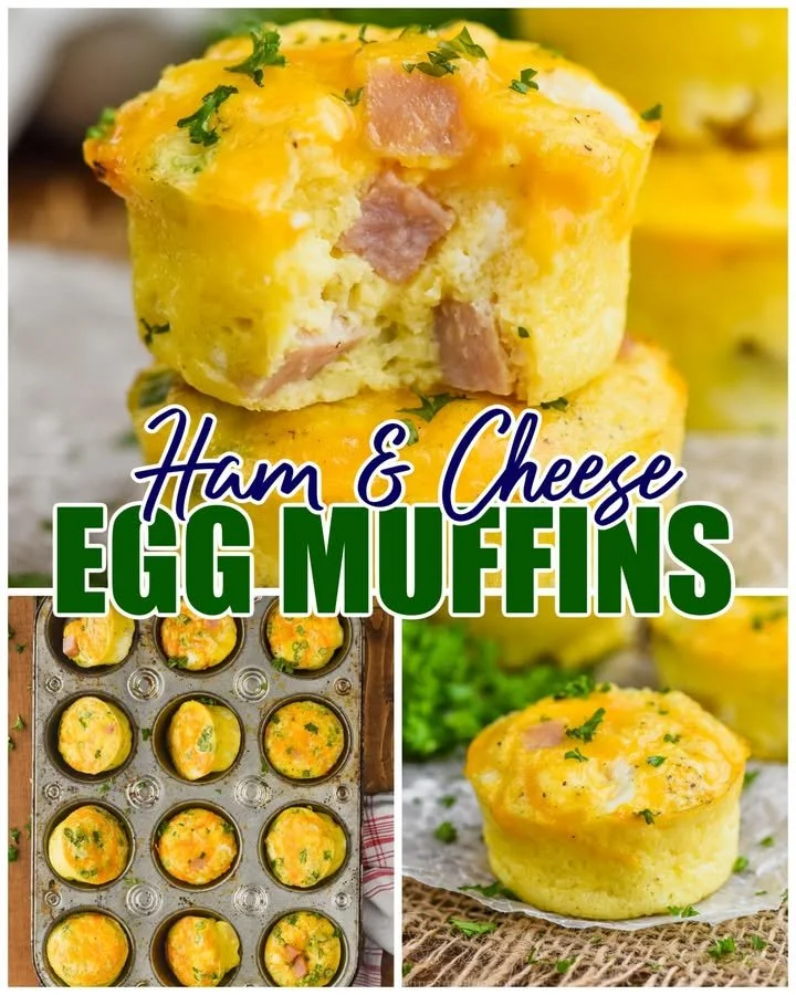 Ham and cheese egg muffins fresh out of the oven, plated and ready to enjoy.