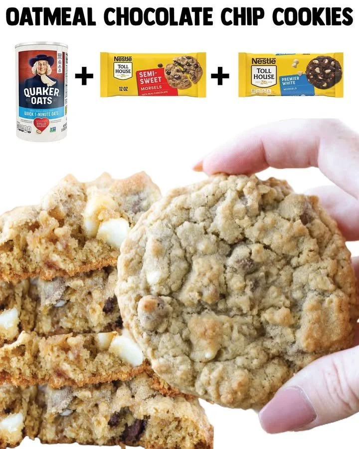 Homemade chocolate chip oatmeal cookies fresh from the oven
