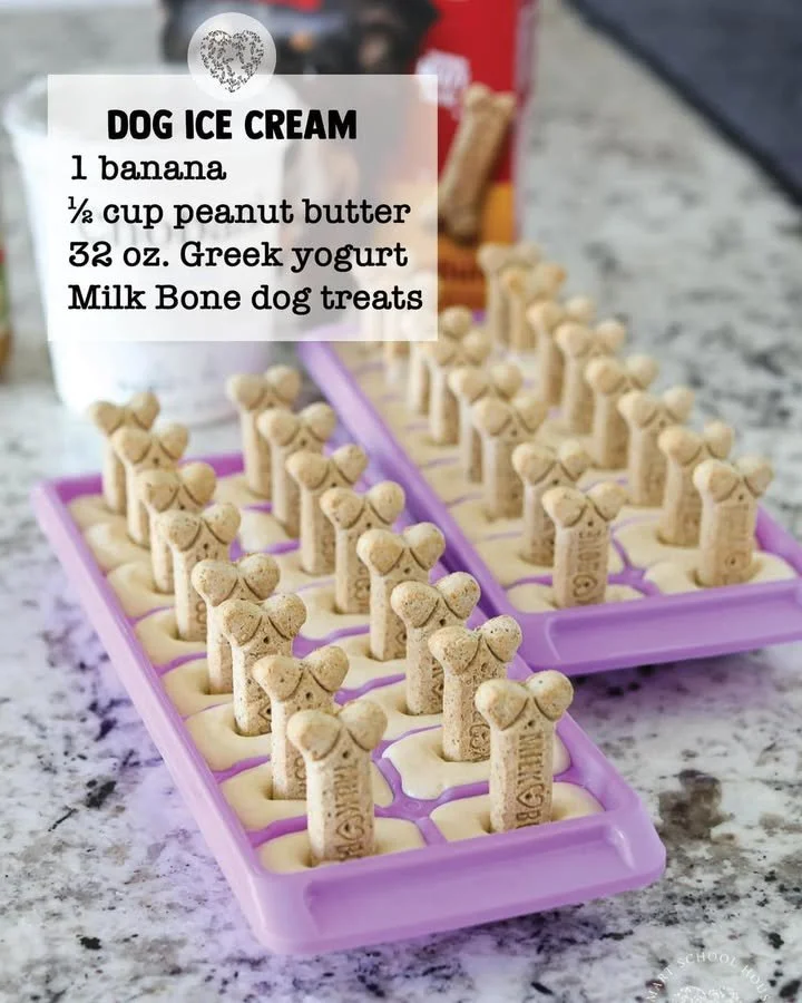 Homemade dog ice cream in a bowl, perfect treat for pets