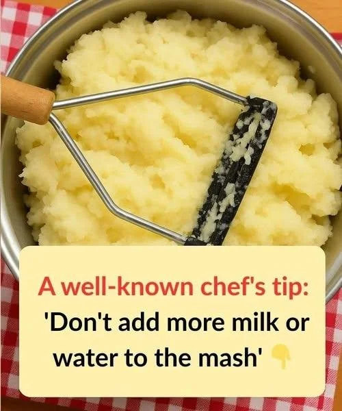 Delicious creamy mashed potatoes served in a bowl