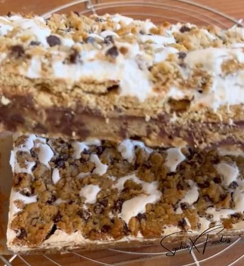 Six Layer PB S’mores Bars with peanut butter, chocolate, and marshmallows