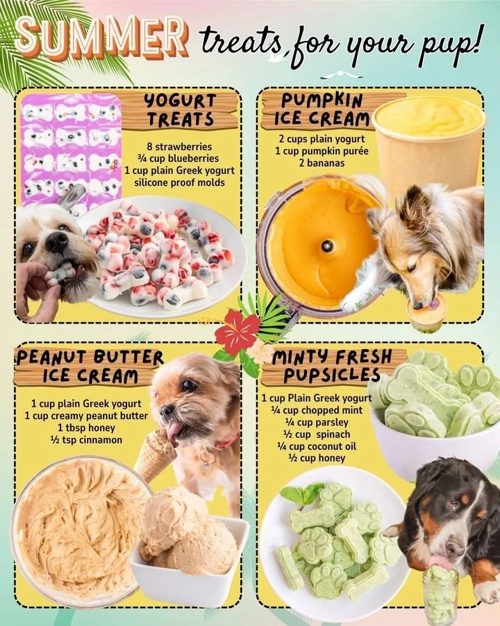 Homemade yogurt dog treats for dogs