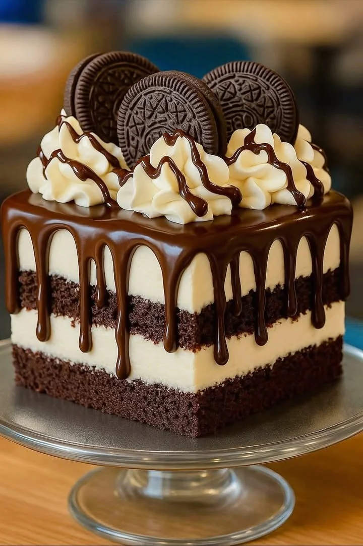 Delicious layered chocolate fudge dessert showcasing rich chocolate texture.