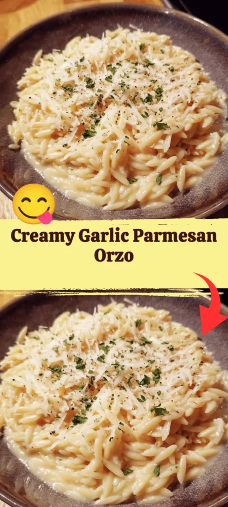 Creamy Garlic Parmesan Orzo served in a bowl garnished with parsley.