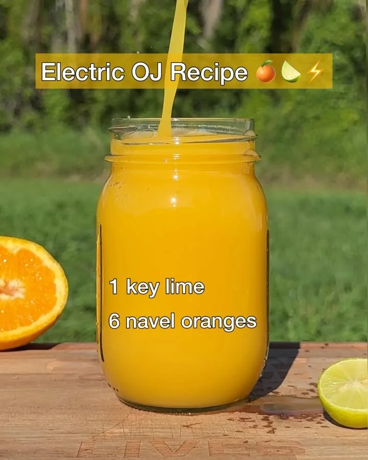 Refreshing Electric OJ recipe with colorful ingredients