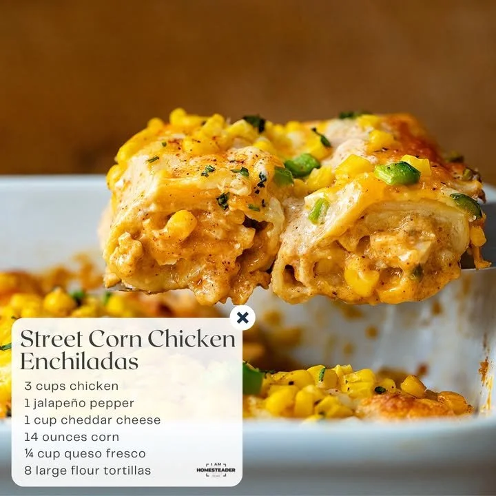 Enchiladas de pollo con maíz callejero, un platillo mexicano delicioso