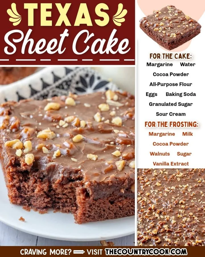 Delicious slice of Grandma's Texas Sheet Cake with chocolate frosting