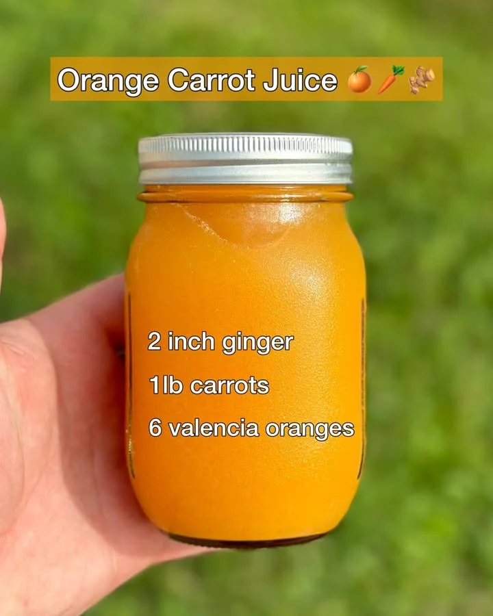 Glass of fresh orange carrot juice with carrots and a green background.