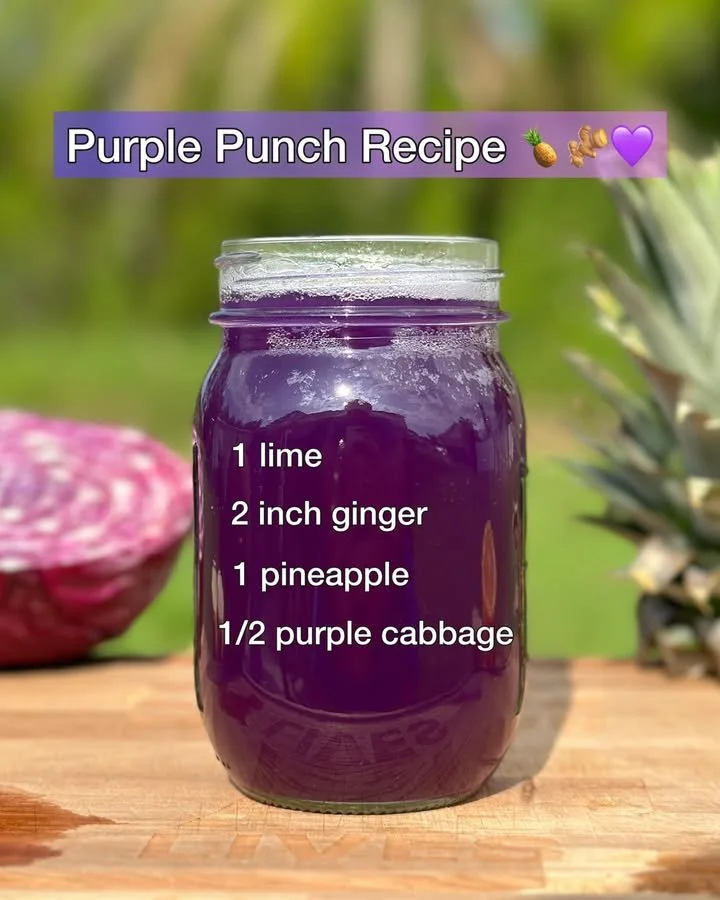 A close-up of Purple Punch cannabis buds showcasing vibrant purple hues.