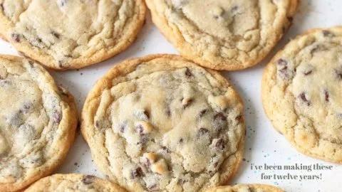 A plate of fresh homemade chocolate chip cookies with melting chocolate chips