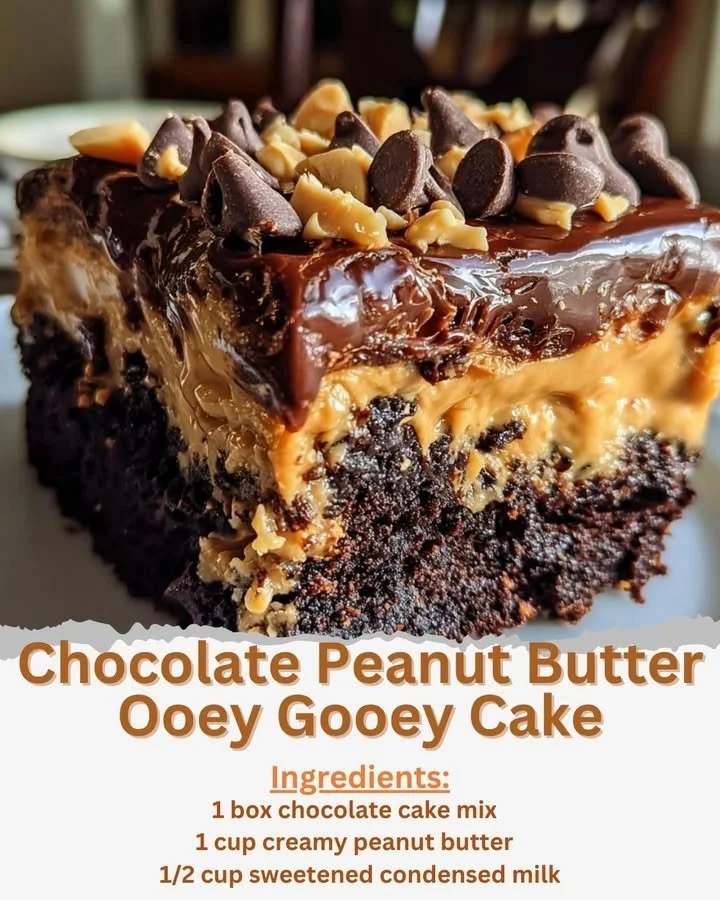 Delicious Chocolate Peanut Butter Ooey Gooey Cake with a rich topping
