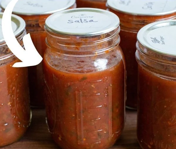 Bowl of easy homemade salsa with fresh vegetables and herbs