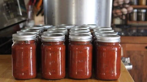 Jars of homemade canning spaghetti sauce on a kitchen counter
