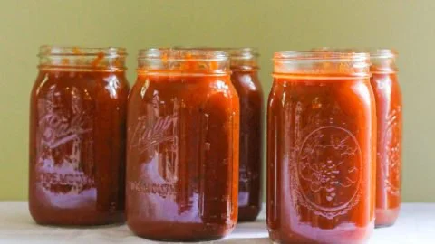 Bowl of homemade Italian tomato sauce with fresh tomatoes and herbs