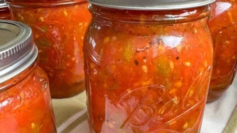Bowl of Homemade Rotel made from fresh tomatoes and green chilies