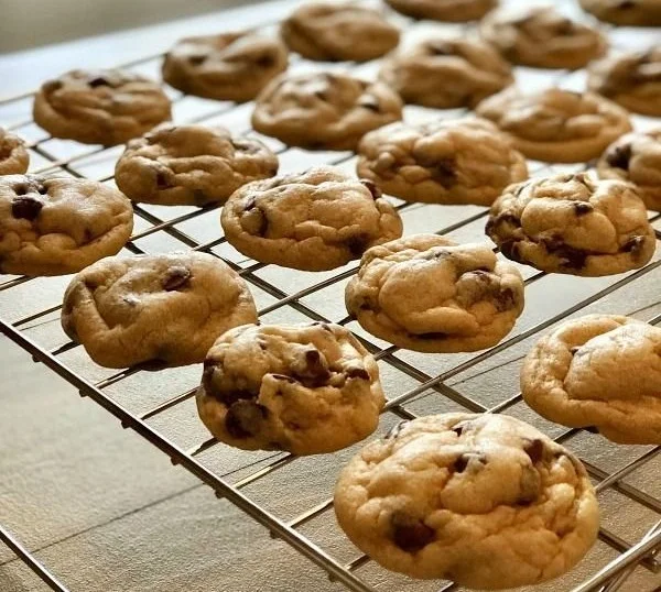 Soft and chewy chocolate chip cookies fresh out of the oven