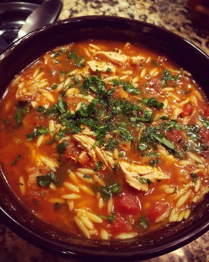 Bowl of Tomato Basil Chicken and Orzo Soup garnished with fresh basil.