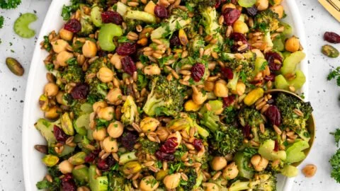 Fresh Broccoli Crunch Salad with nuts, cranberries, and a tangy dressing