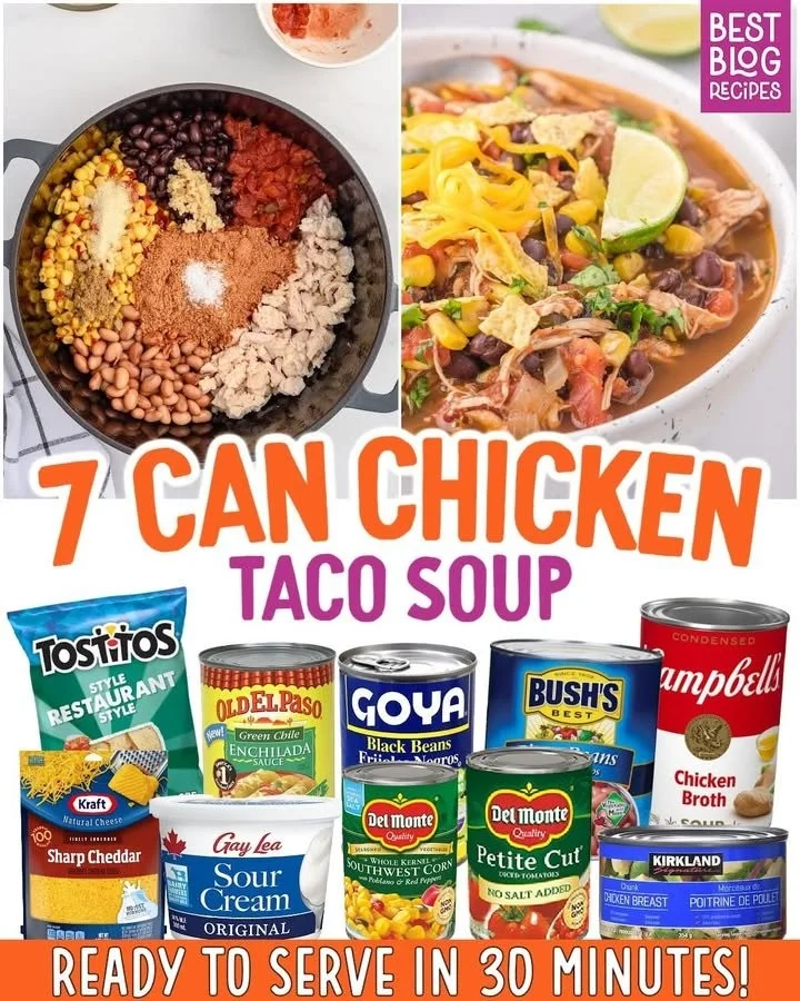 Bowl of delicious Chicken Taco Soup garnished with fresh herbs and toppings