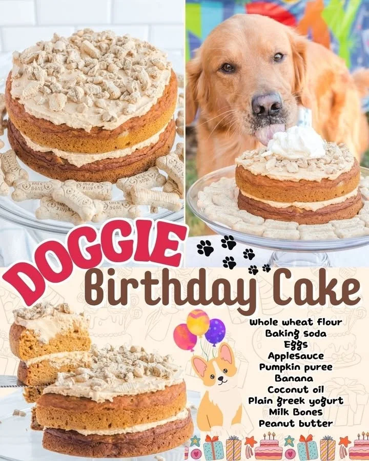 Homemade dog birthday cake decorated with dog-friendly ingredients