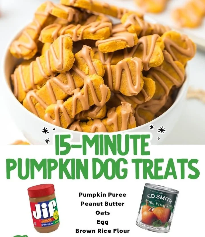Homemade pumpkin dog treats baked fresh for a healthy snack
