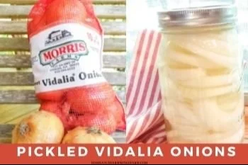 Quick pickled Vidalia onions in a jar, ready to enhance your meals.