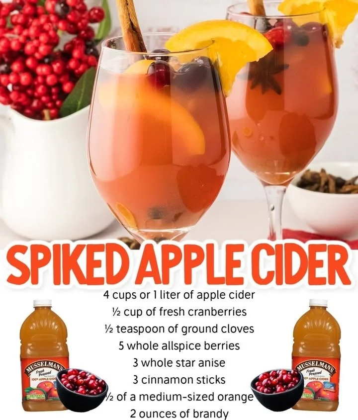 Warm spiked apple cider in a mug with cinnamon stick and apple slices for fall