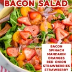 Summer Salad