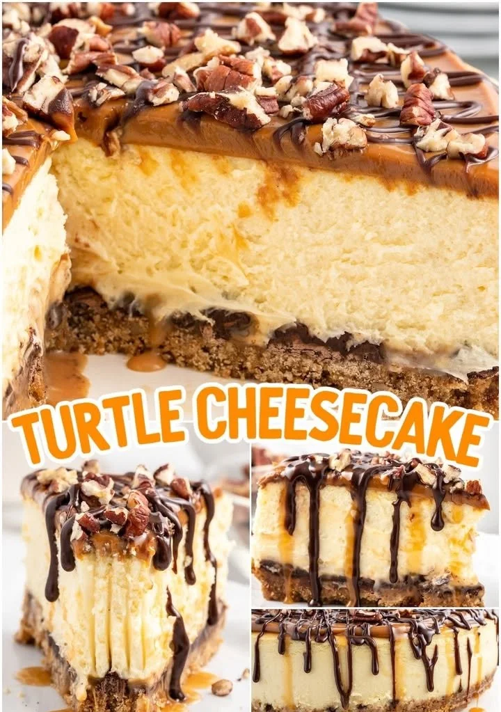 Delicious Turtle Cheesecake topped with chocolate, caramel, and chopped nuts
