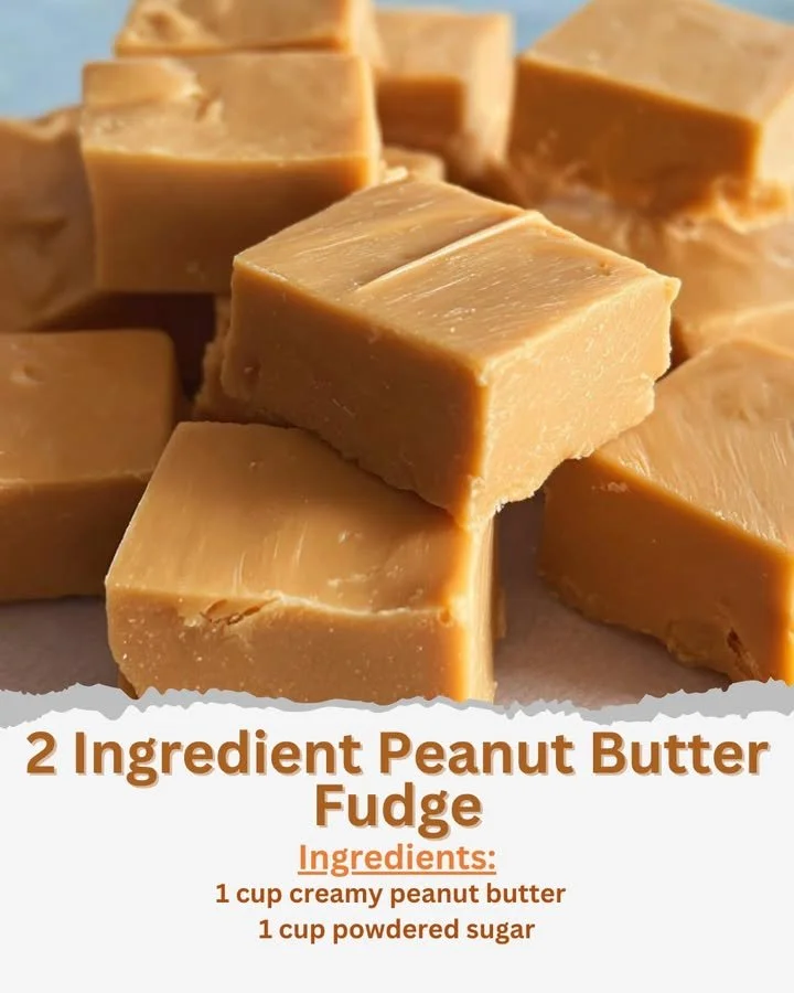 Delicious 2 Ingredient Peanut Butter Fudge on a white plate