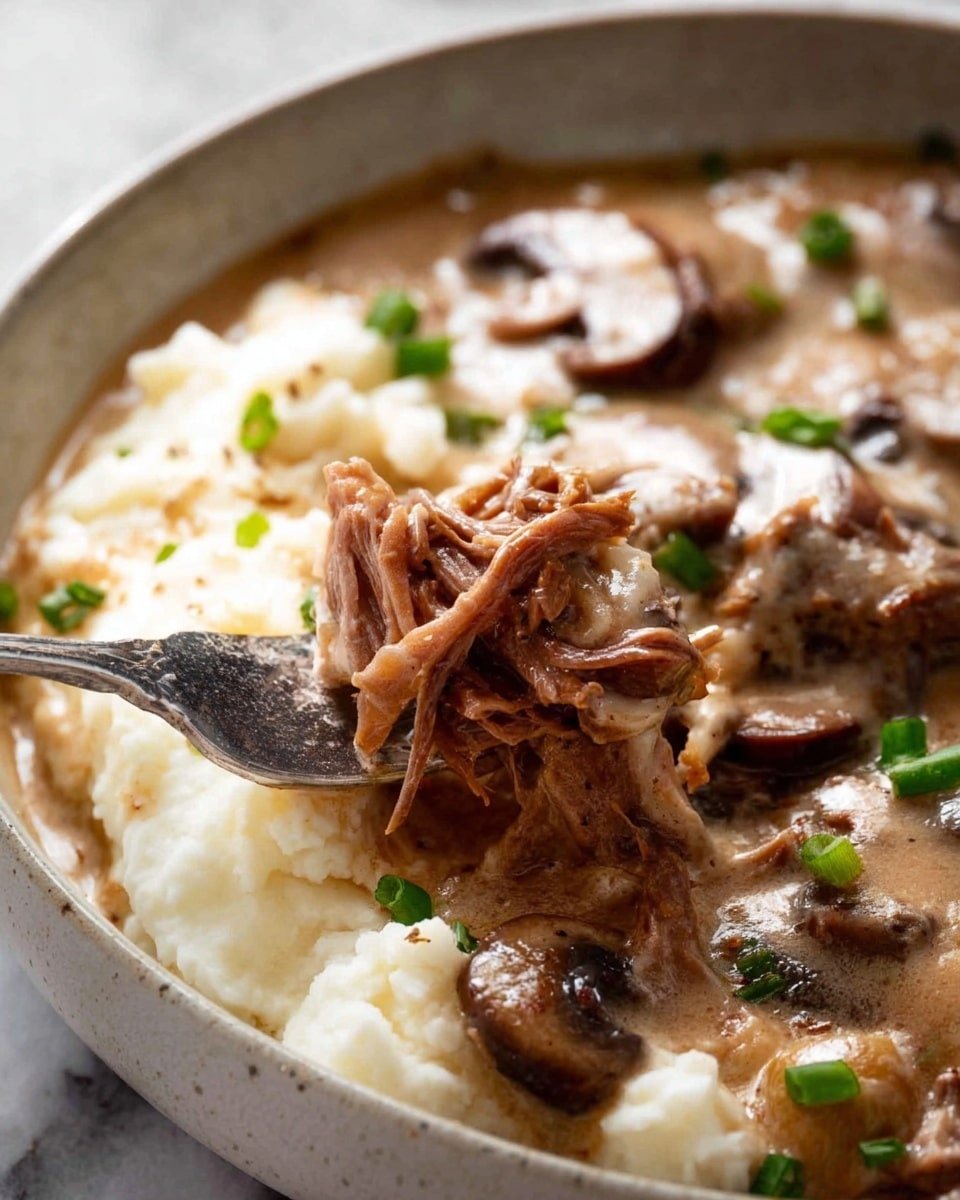 Slow Cooker Beef Stroganoff Recipe