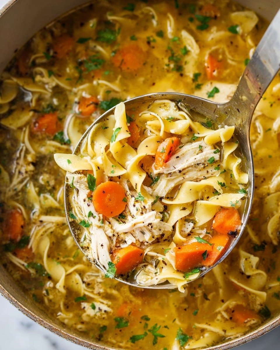 Best Chicken Noodle Soup with Egg Noodles Recipe