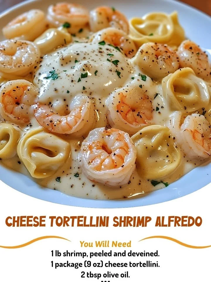 Creamy shrimp alfredo sauce over cheese tortellini.