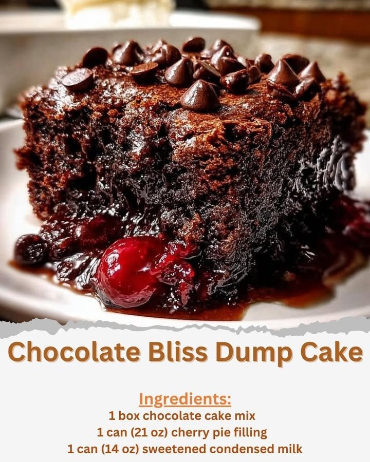 Chocolate Bliss Dump Cake