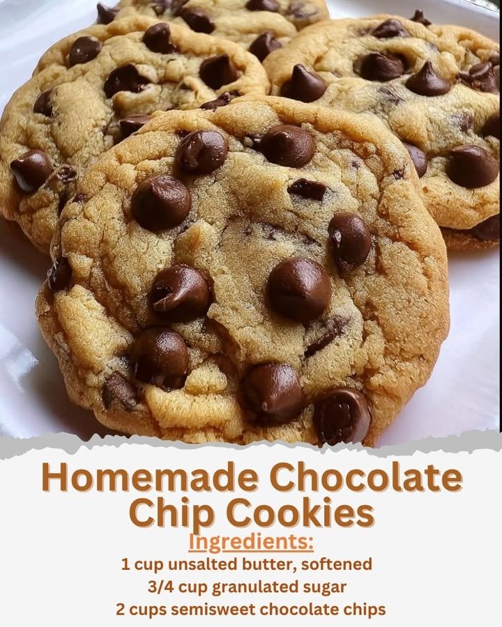 Homemade Chocolate Chip Cookies