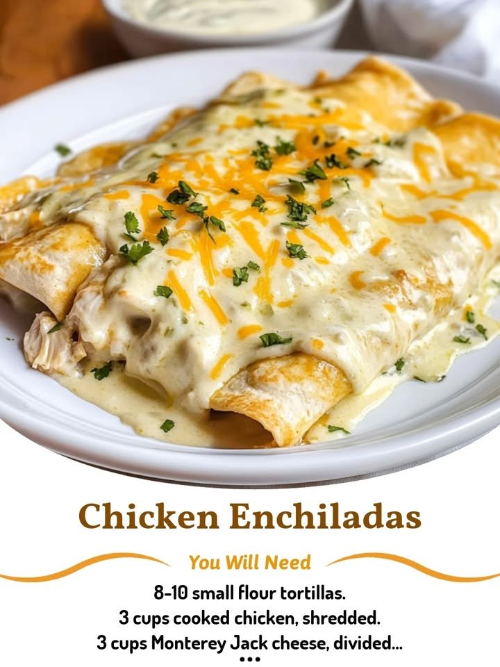 Chicken Enchiladas with Sour Cream White Sauce