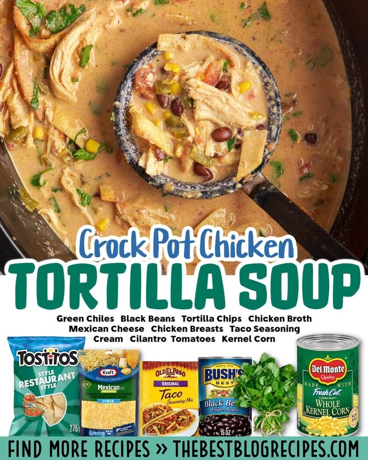 Crockpot Chicken Tortilla Soup