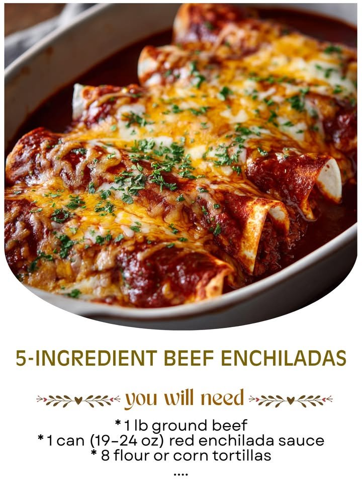 5-Ingredient Beef Enchiladas