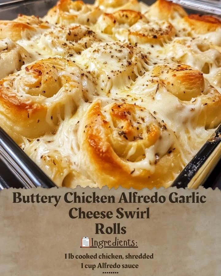 Buttery chicken alfredo garlic cheese swirl rolls with creamy sauce