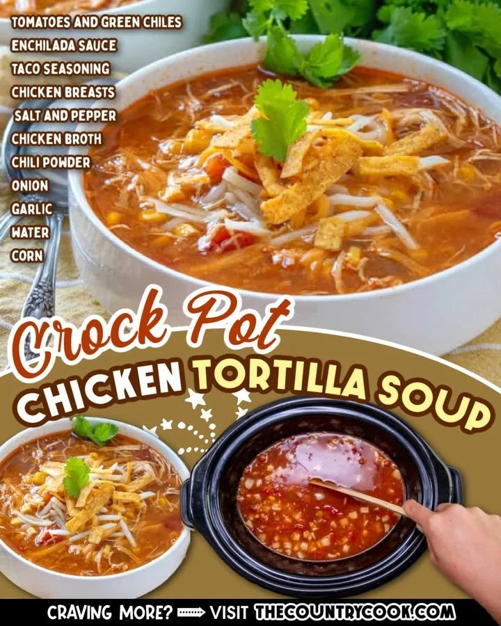 Delicious Crock Pot chicken tortilla soup with toppings in a bowl